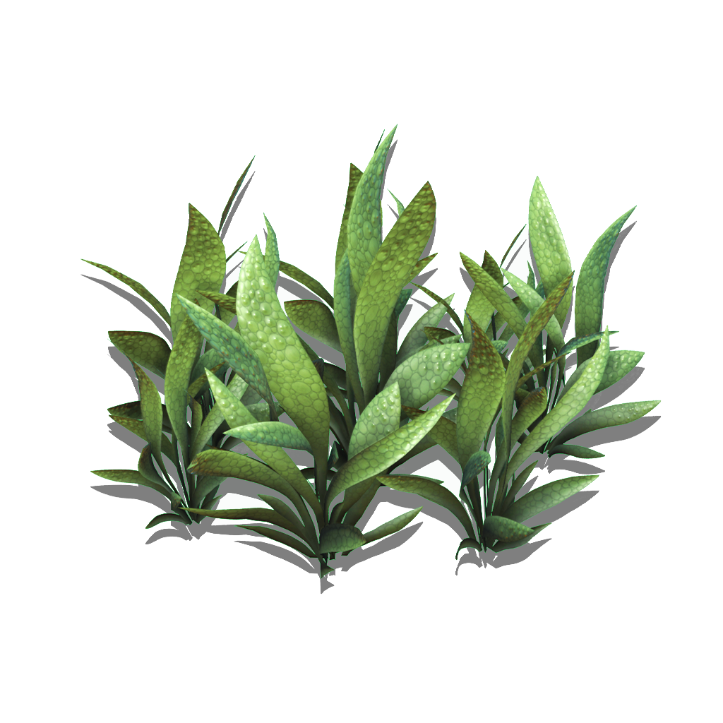 Preview of Flatblade Grass