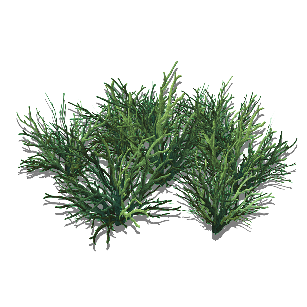 Preview of Antler Grass